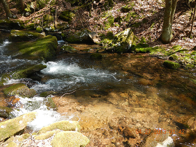 poe trip 04-26-2013 019.jpg -                                And, here is where he came from!